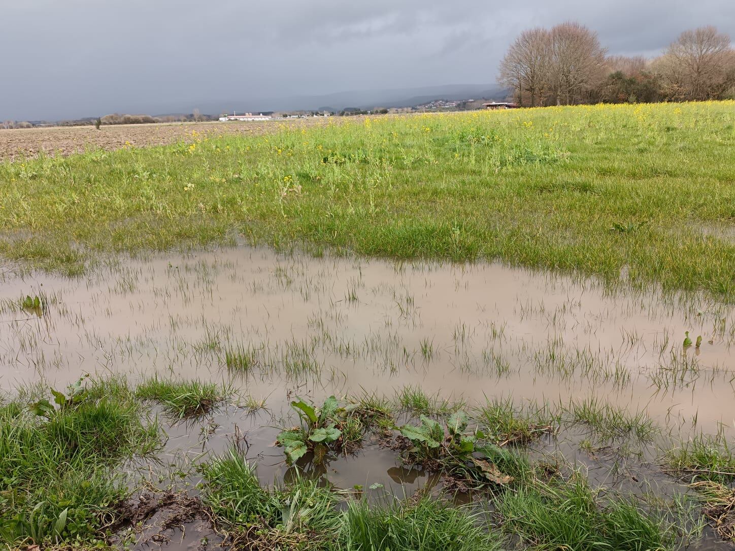 Campo da Limia inundado