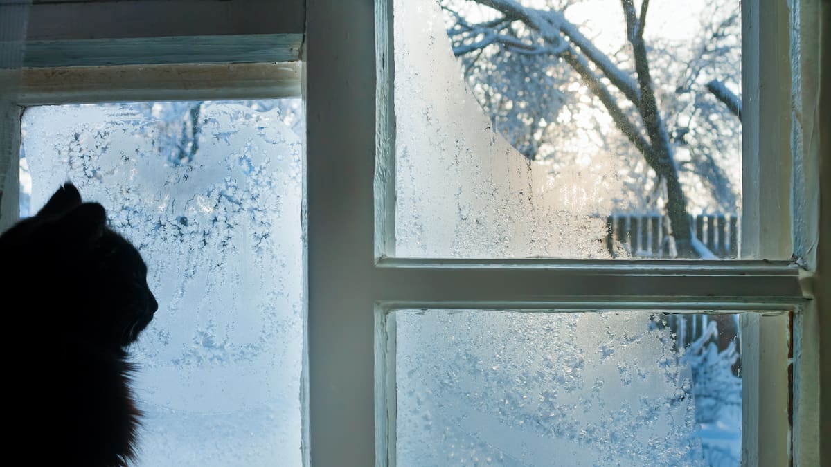 "Había carámbanos hasta dentro de las casas": el día en el que el 'triángulo del frío' español amaneció a 30 grados bajo cero