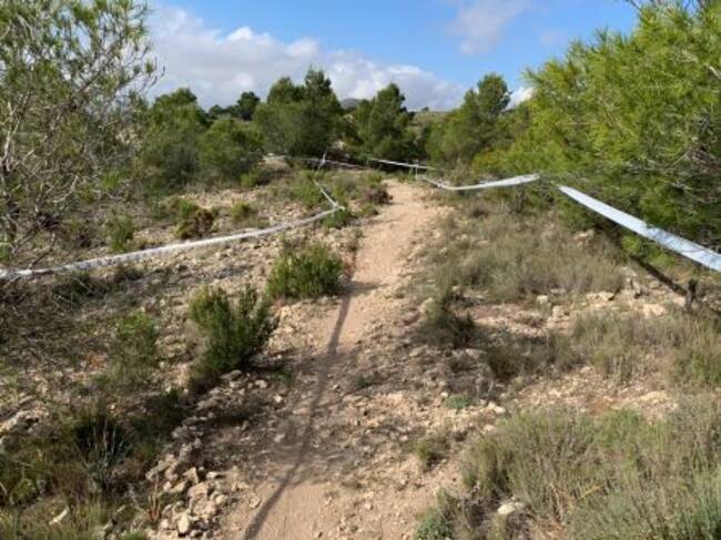 Detalle del circuito