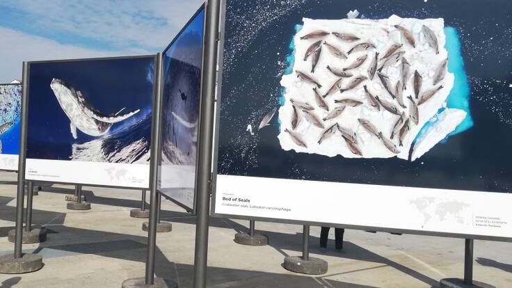 Entrevista a Cristobal Serrano (18/09/2019)