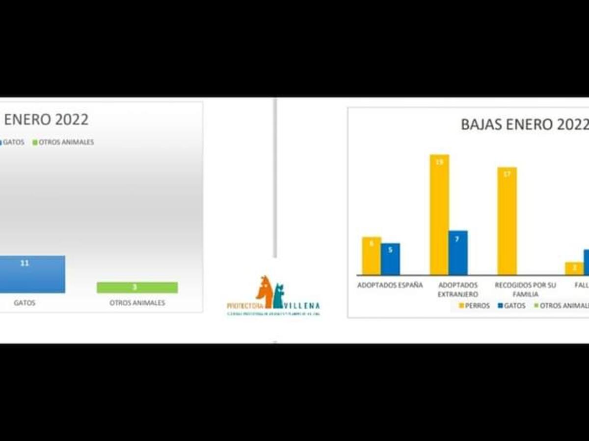 La Protectora de Animales de Villena ha rescatado 49 animales durante el mes de enero
