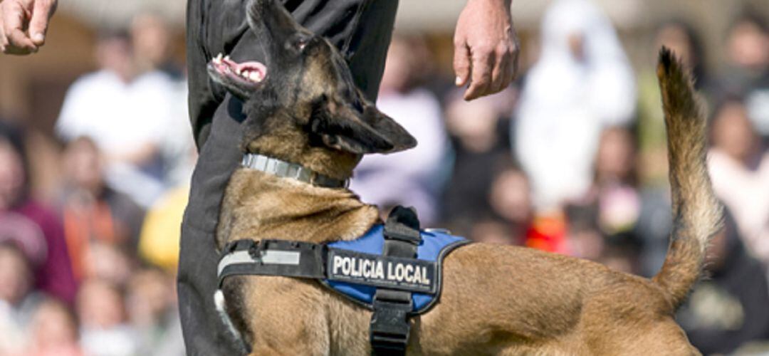 La entrada es abierta y gratuita hasta completar aforo