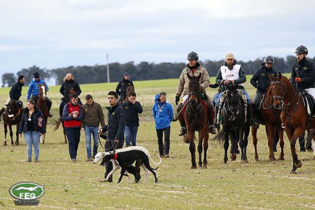 El público no podrá disfrutar este año de las carreras de galgos como en ediciones anteriores