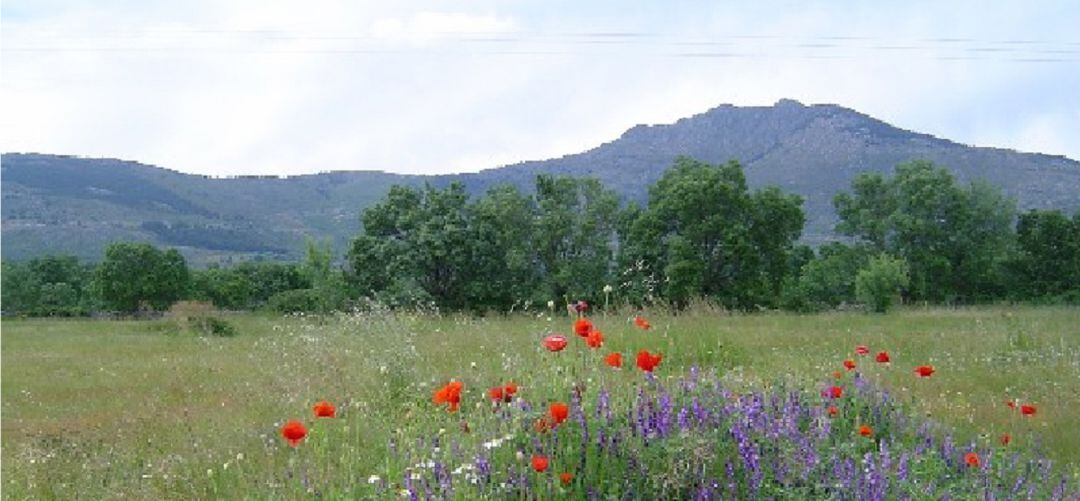 Sierra de Guadarrama