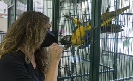 La concejala de Bienestar Animal, Glòria Tello, ha visitado el centro municipal de Avifauna y fauna exótica de Natzaret, en València.