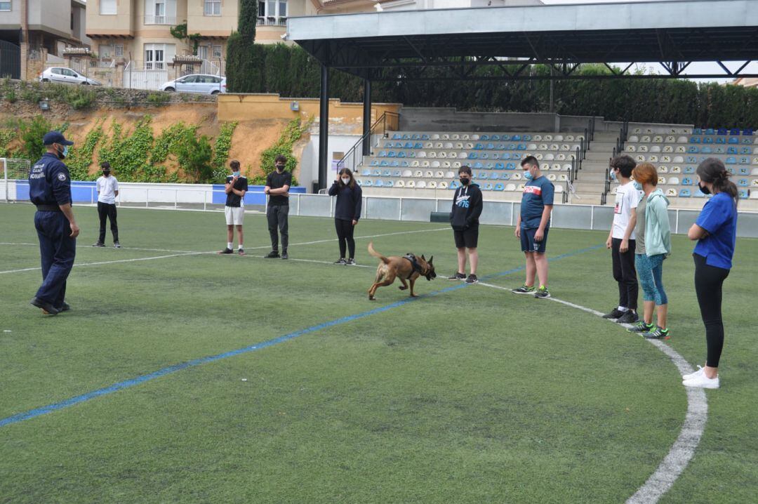 Jornada de formación con perros policía en Monachil (Granada)