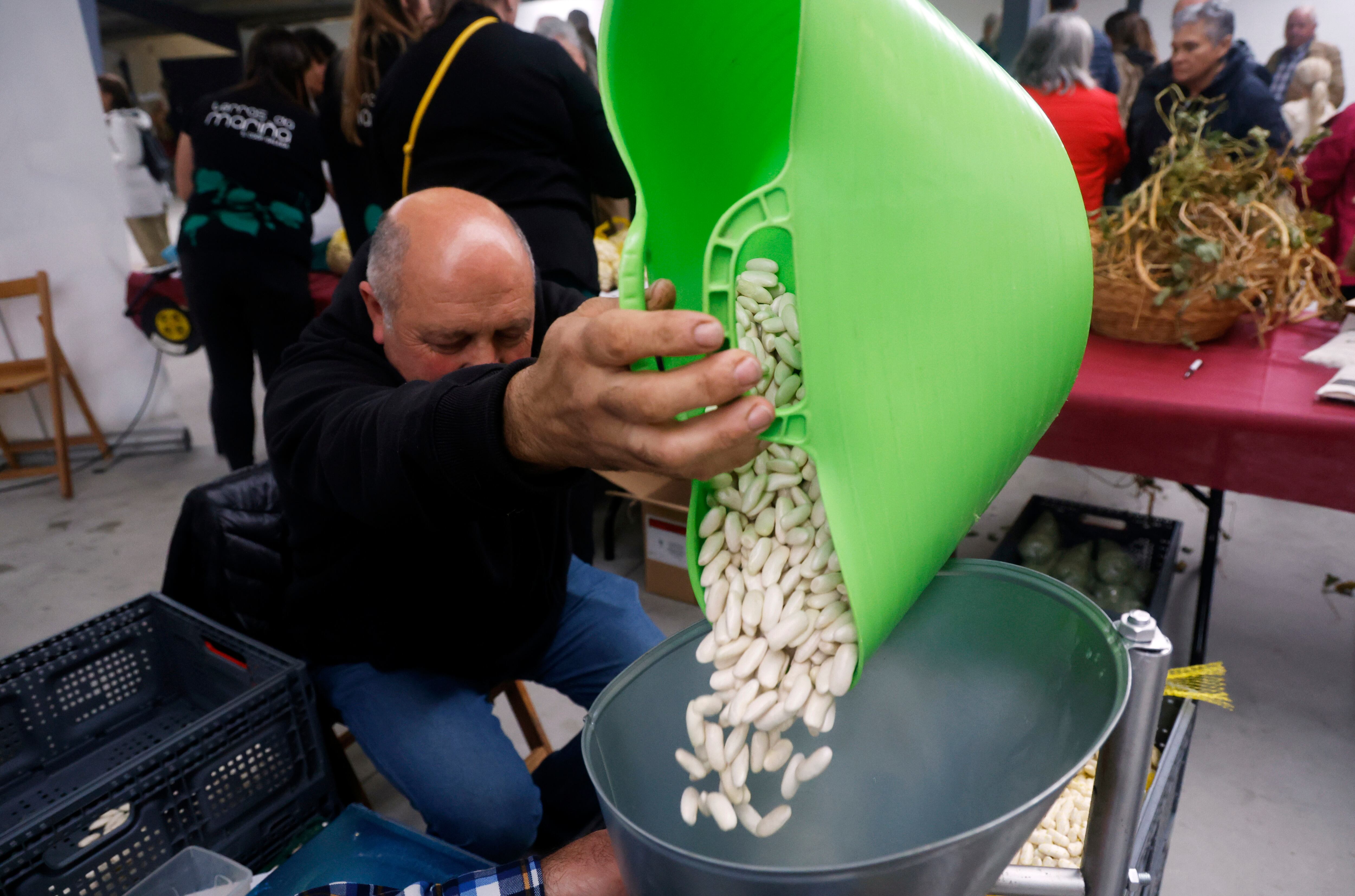 Moeche festeja uno de sus productos tradicionales, las habas, en una feria donde reivindica su valor como una de las cunas de este alimento en Galicia (foto: Kiko Delgado / EFE)