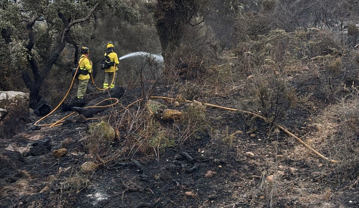 Trabajos de extinción del fuego