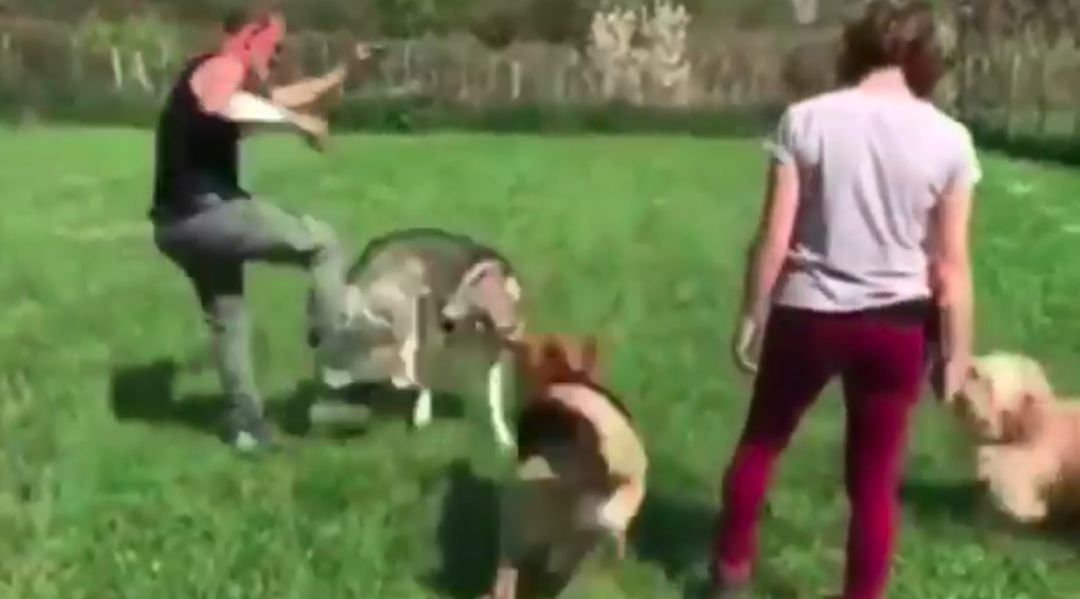 Un famoso adiestrador canino ejerciendo maltrato animal sobre un perro.