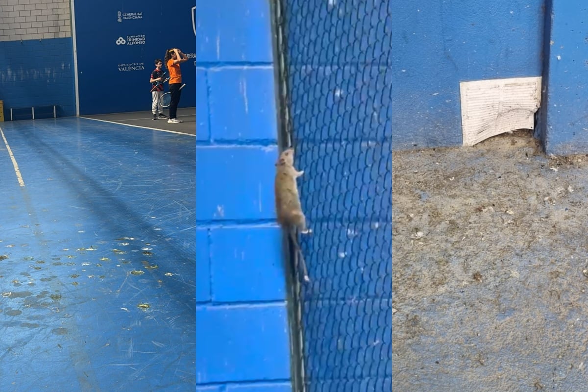 Las palomas y las ratas invaden el polideportivo del Cabanyal
