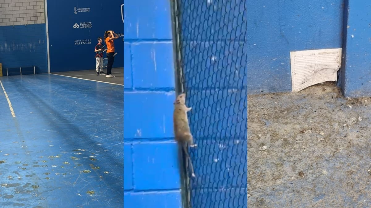 Las palomas y las ratas invaden el polideportivo de Nazaret