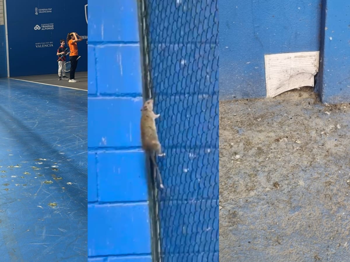 Las palomas y las ratas invaden el polideportivo de Nazaret
