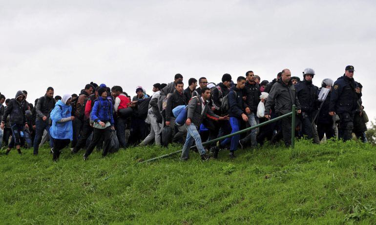 Refugiados caminan hacia el centro de registro de Brezice, Eslovenia, hoy 19 de octubre de 2015