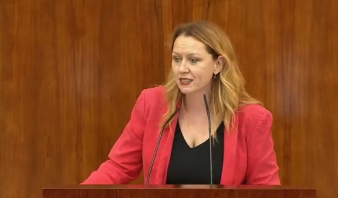 Cristina González durante una de sus intervenciones en el parlamento madrileño