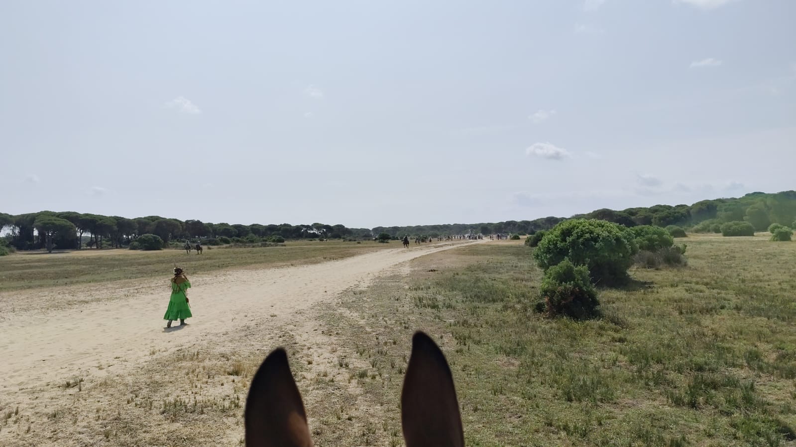 Peregrina linense camina sola por el Coto.
