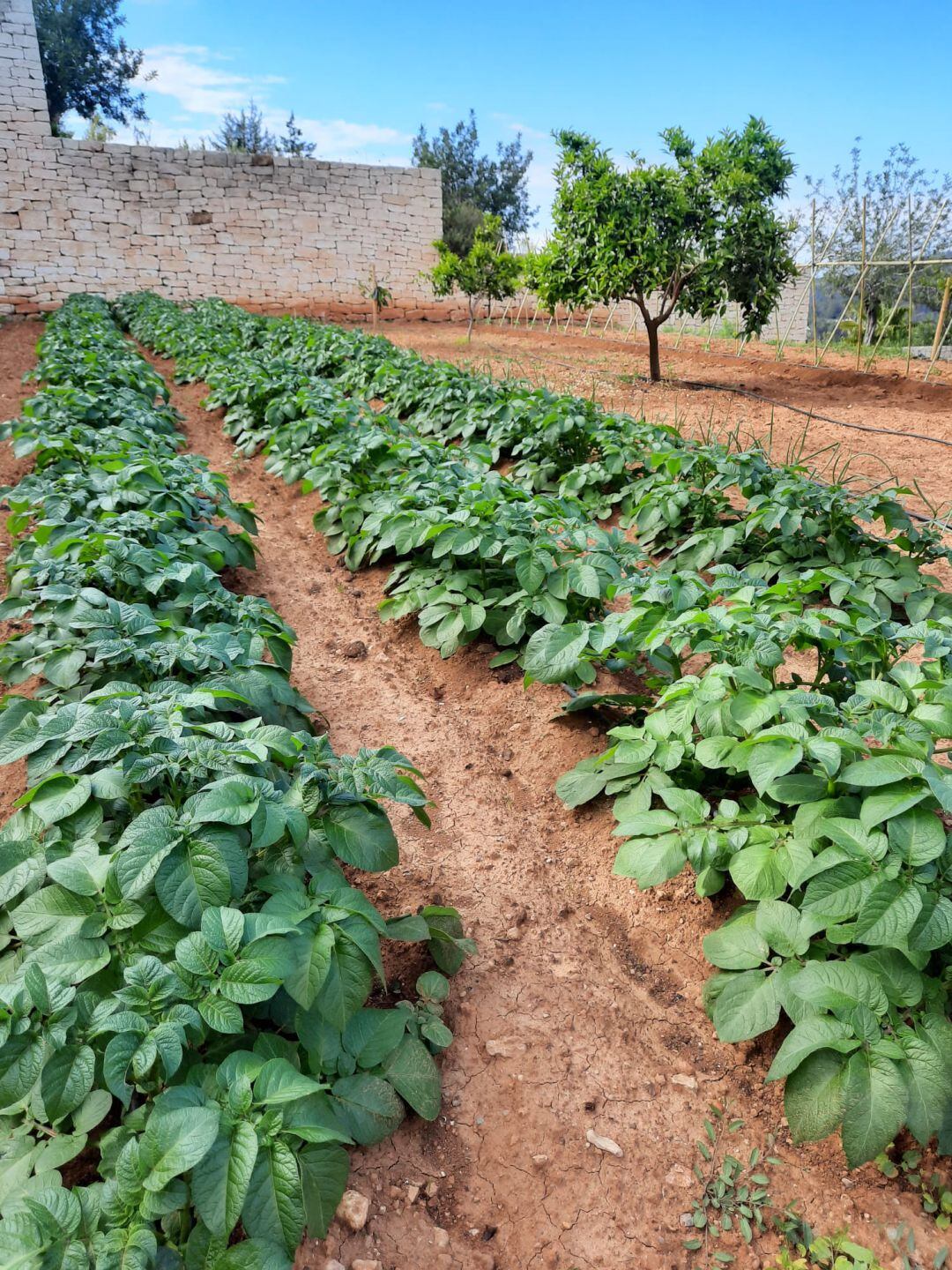 Las cifras de ventas este año han sido "muy esperanzadoras"