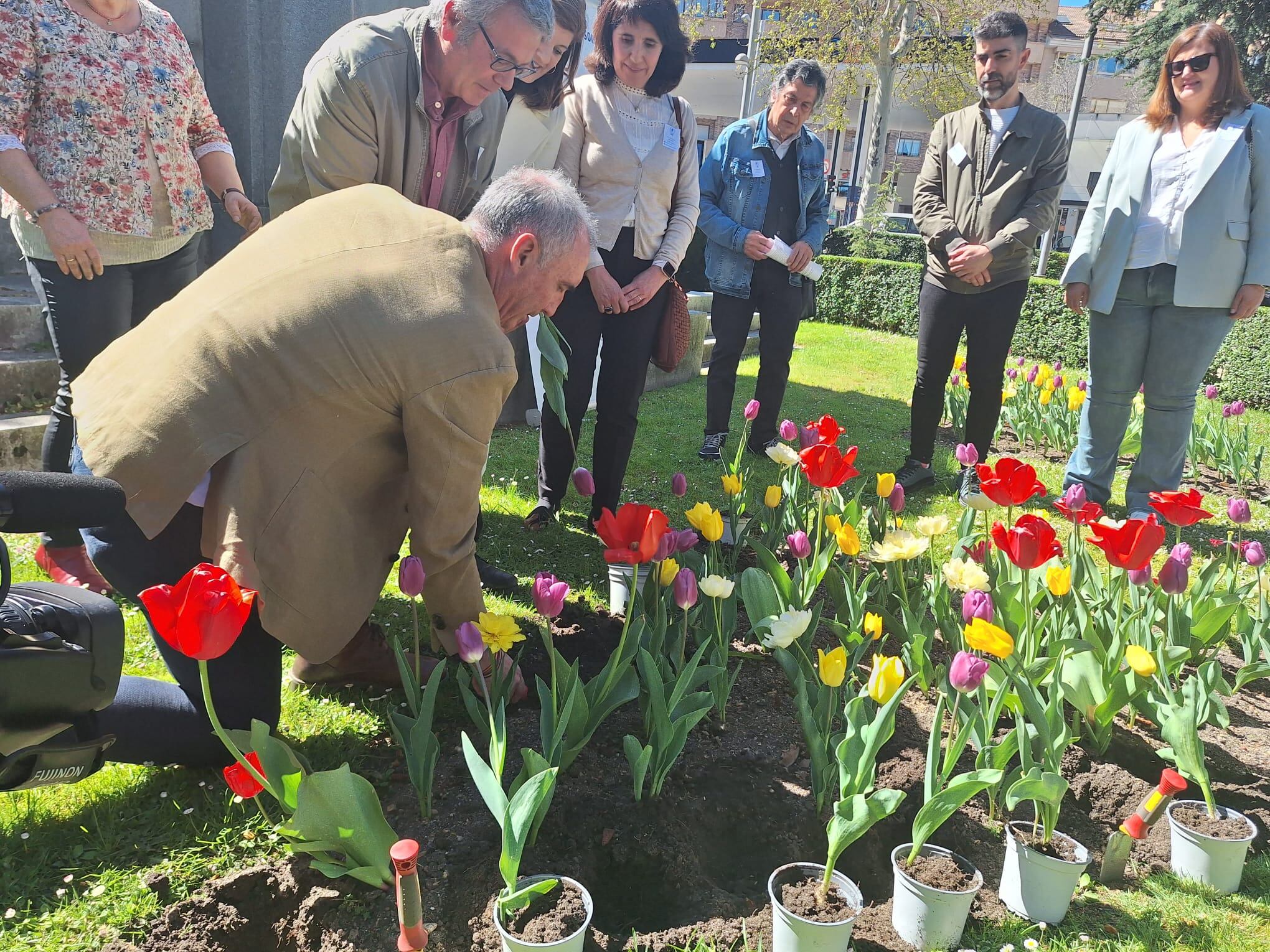 El alcalde de Segovia, José Mazarías, en la plantación de tulipanes con motivo del Día Internacional del Parkinson