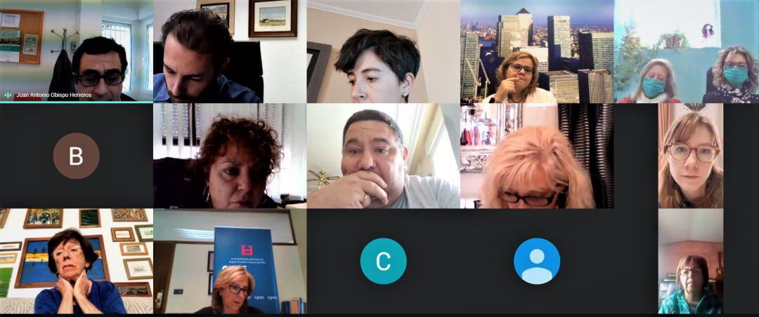 Imagen de la reunión virtual mantenida