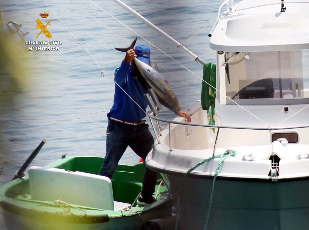 Pesca furtiva de bonitos en Castro Urdiales