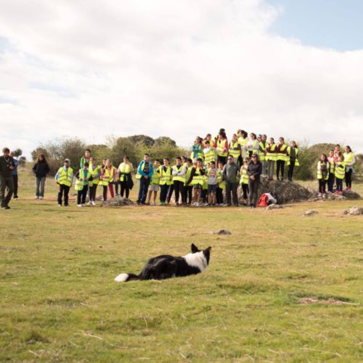 Churras colmenareñas y amantes del queso se dan cita en Colmenar Viejo