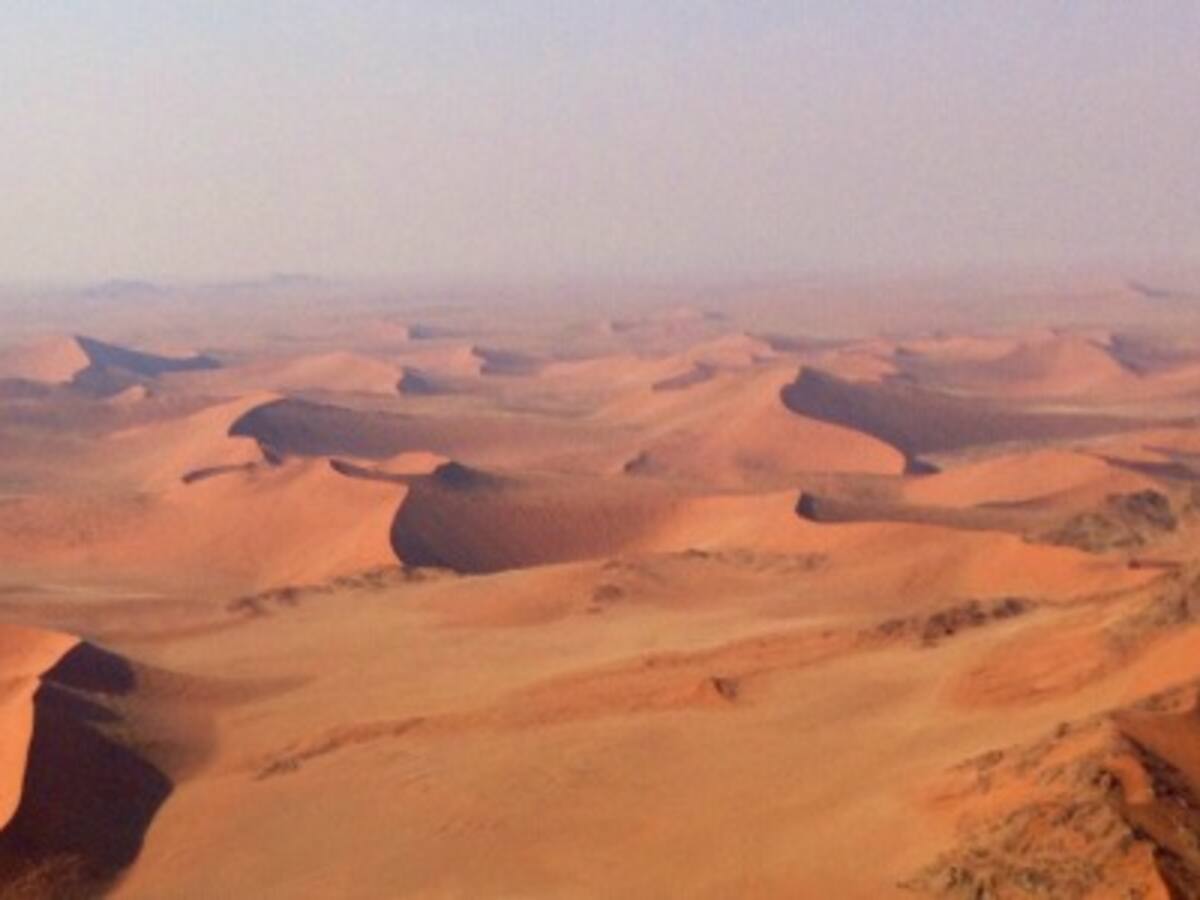 Parque transfronterizo de Kgalagadi
