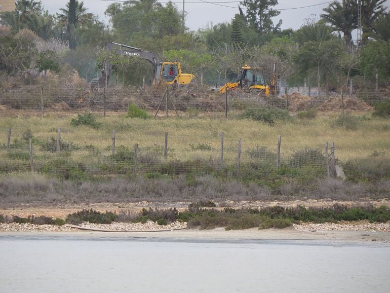 Imagen de las tareas de desbroce en uno de los humedales del sur de la provincia