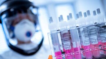 Las plagas del capitalismo