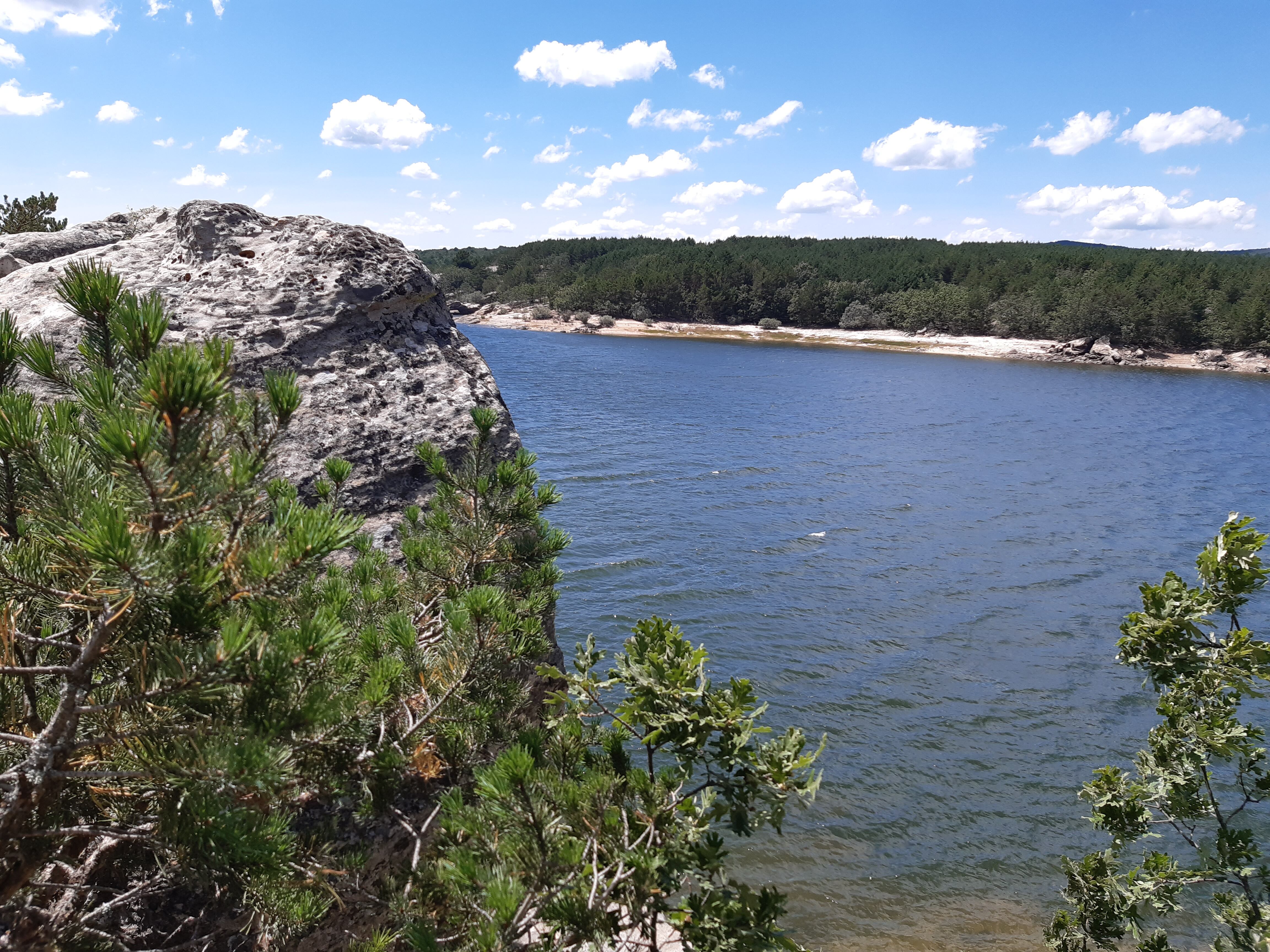 Pantano de la Cuerda del Pozo.