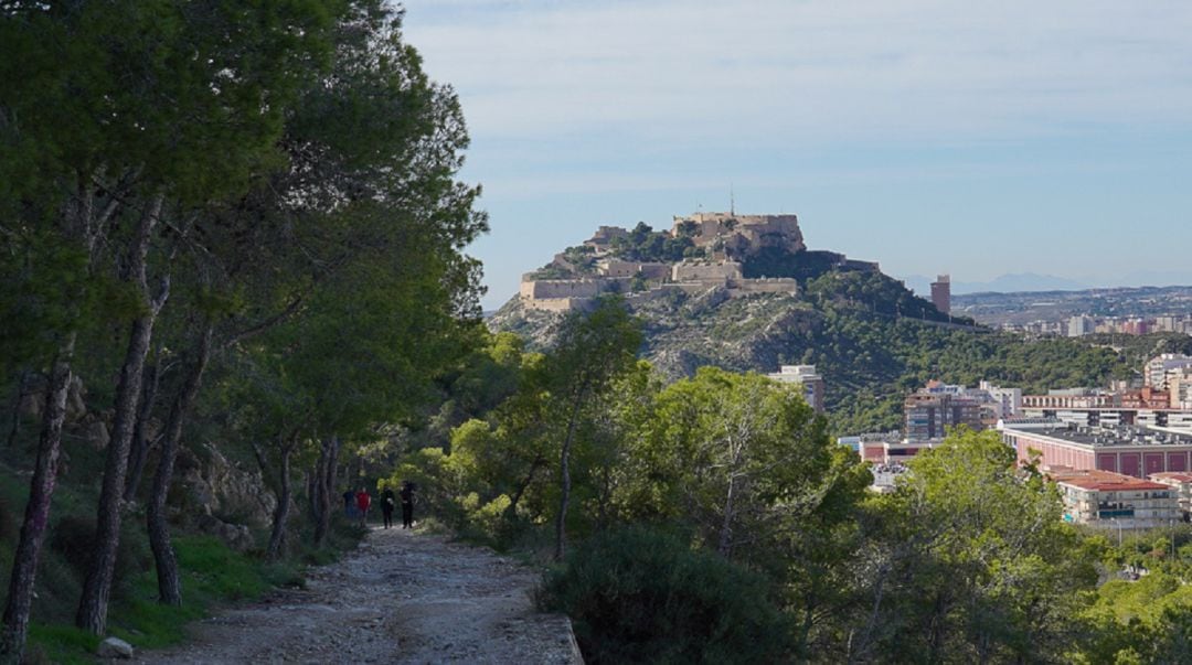 Camino en la Serra Grossa de Alicante próximo a viviendas 