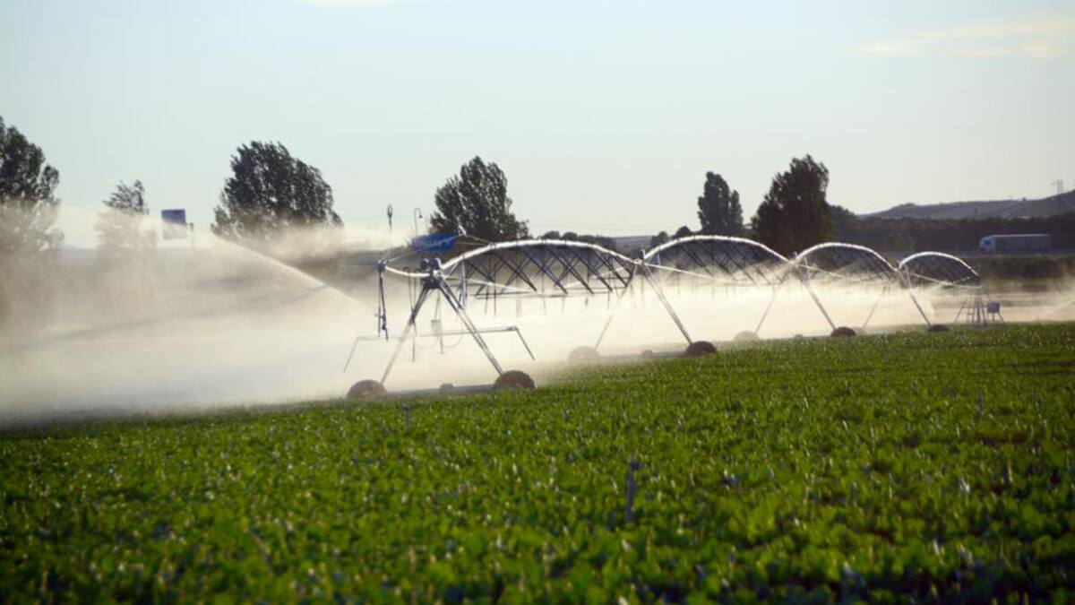 Los agricultores de Soria van a terminar su campaña de riego sin problemas pese a la sequía