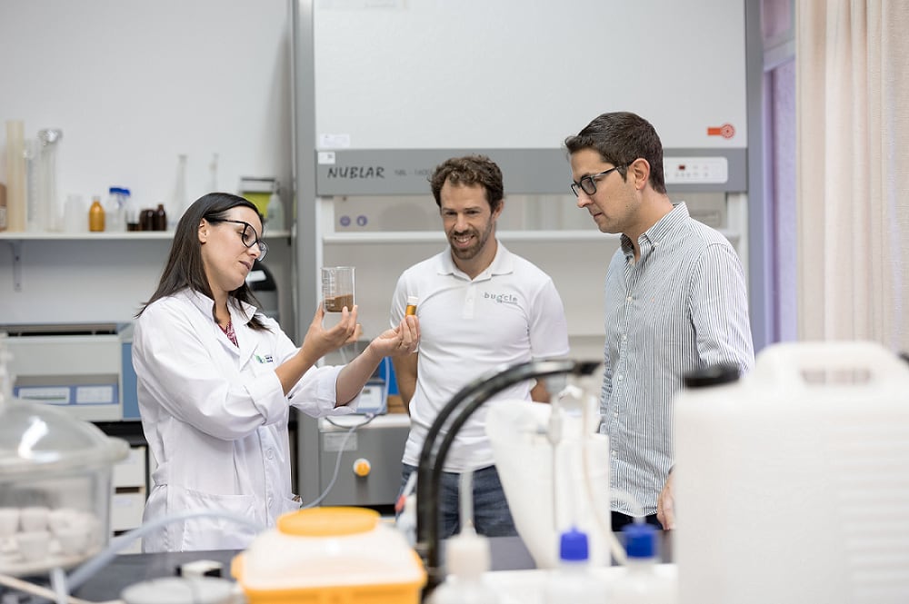 La Universidad de Zaragoza, Bugcle Bioindustrias y Bodega Sommos participan en la investigación