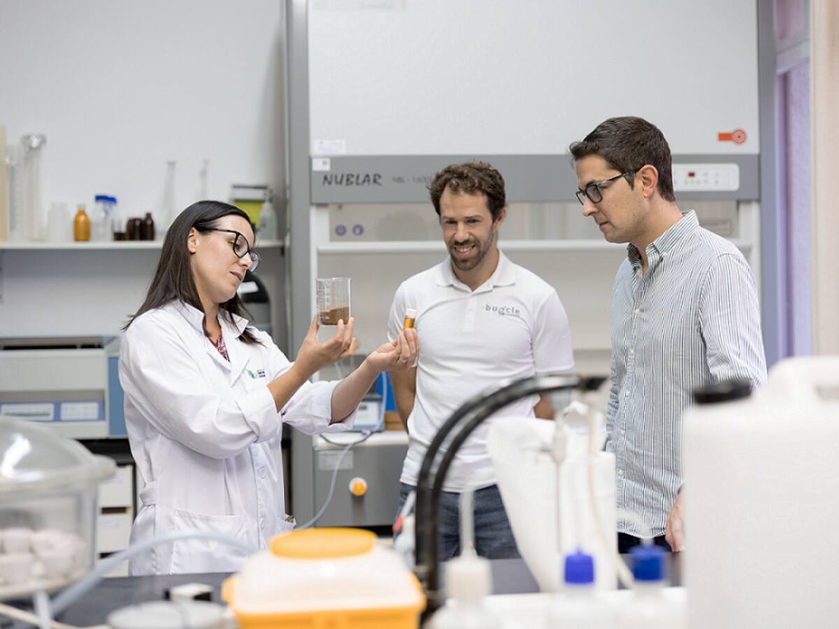 Sommos participa en una investigación que vincula al hollejo de la uva con la mejora de piensos para animales