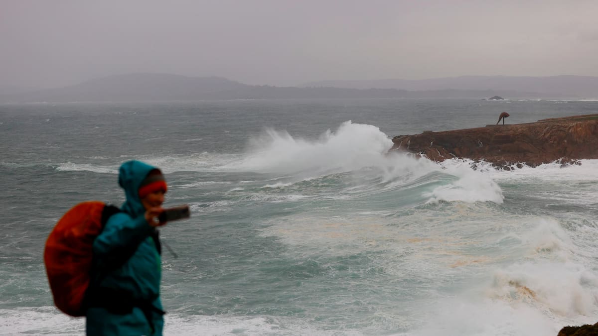 Francisco Infante, delegado territorial de la AEMET