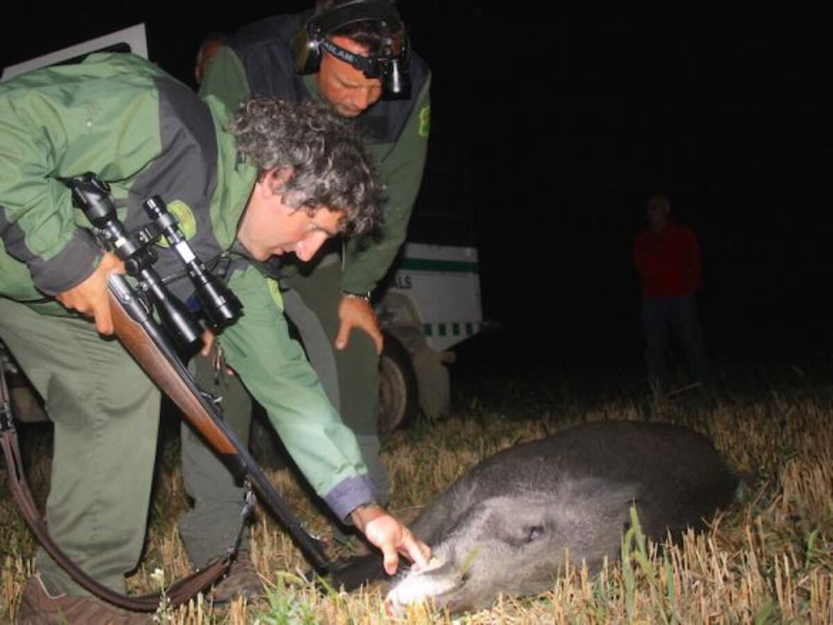 Escepticisme entre els Rurals per l'anunci de la Generalitat de crear un grup especialitzat per combatre plagues