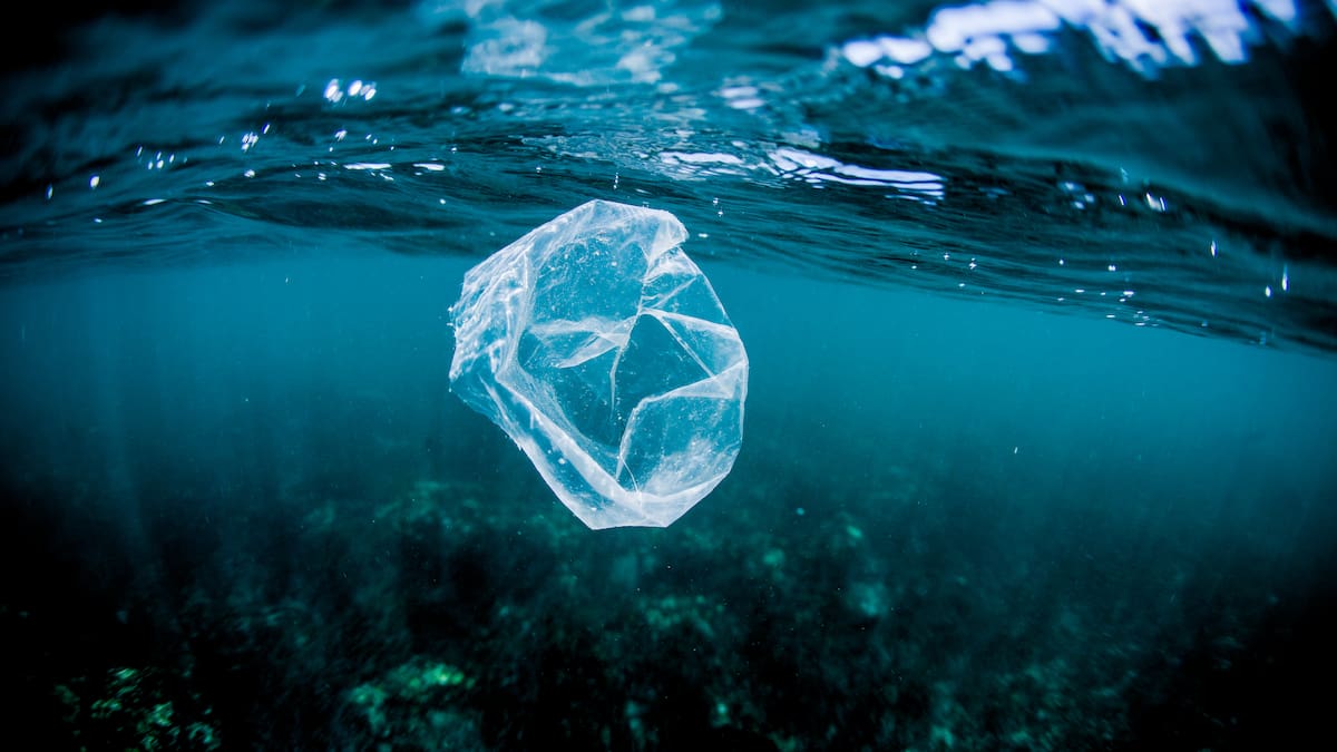 Nuevos Tiempos 1x05 | Mares contaminados: "Empezamos a mirar las consecuencias de nuestros actos"