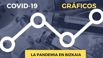 La COVID-19 en Bizkaia, municipio a municipio