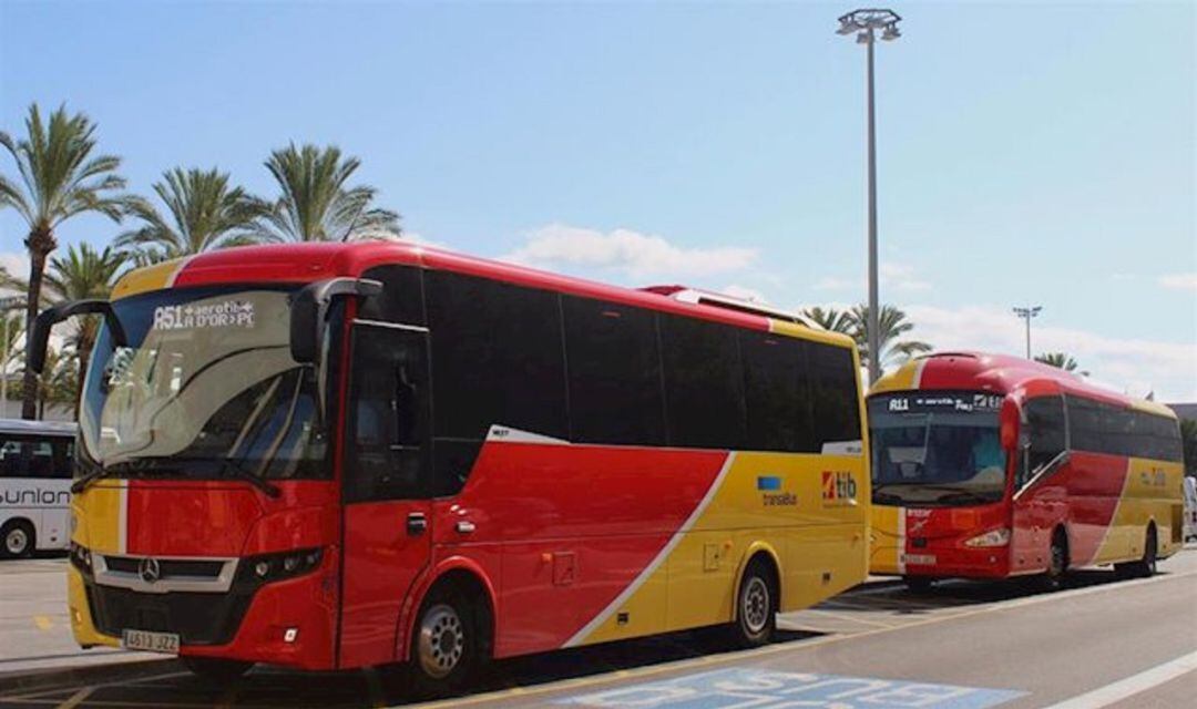 Autobuses del TIB en el aeropuerto