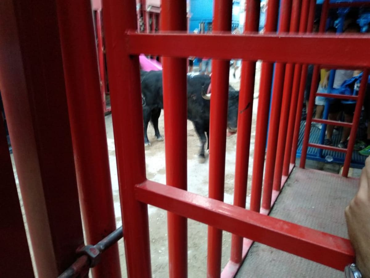 Fallece un hombre tras ser embestido por un toro en las fiestas de l'Alcora