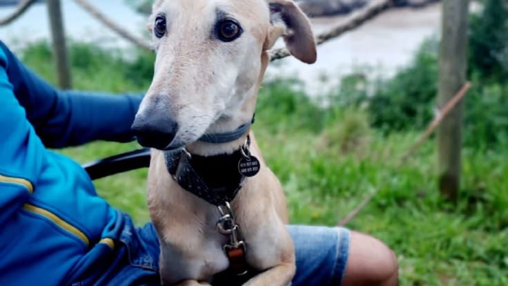 Justicia para Duna, la perra ahorcada (02/12/2021)