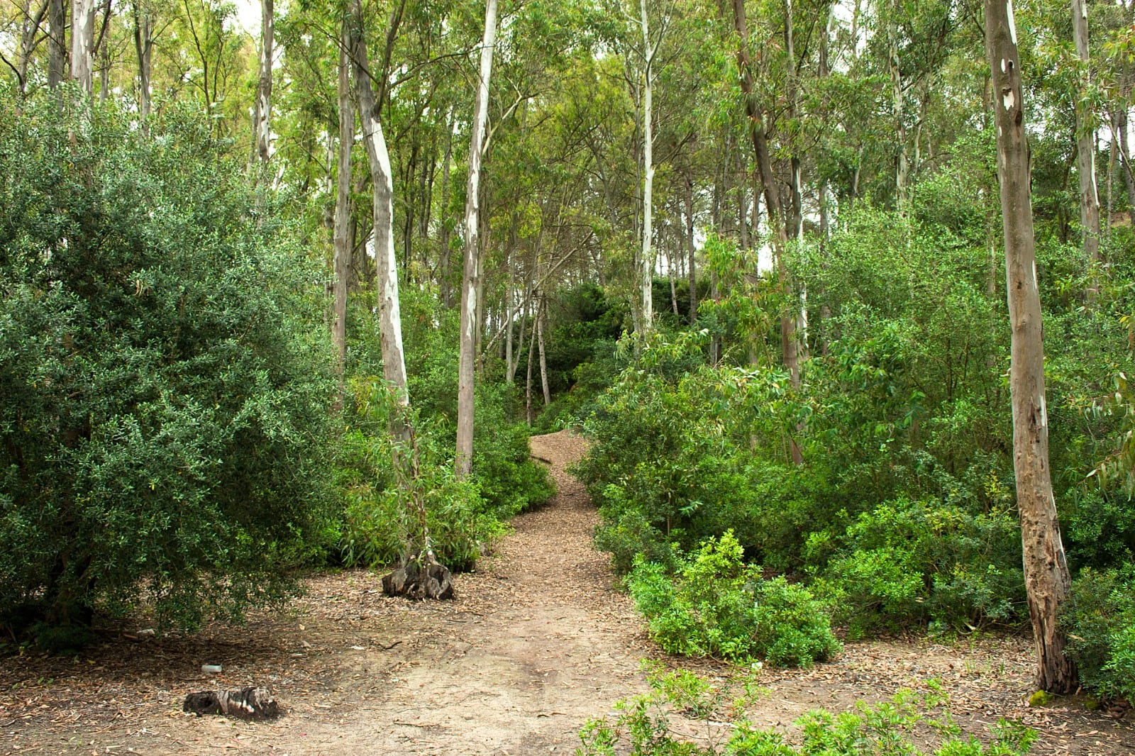 Recorrido por el parque de&quot; Las Aguilillas&quot;