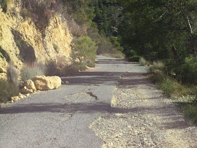 Camino del Cid de Petrer en mal estado 