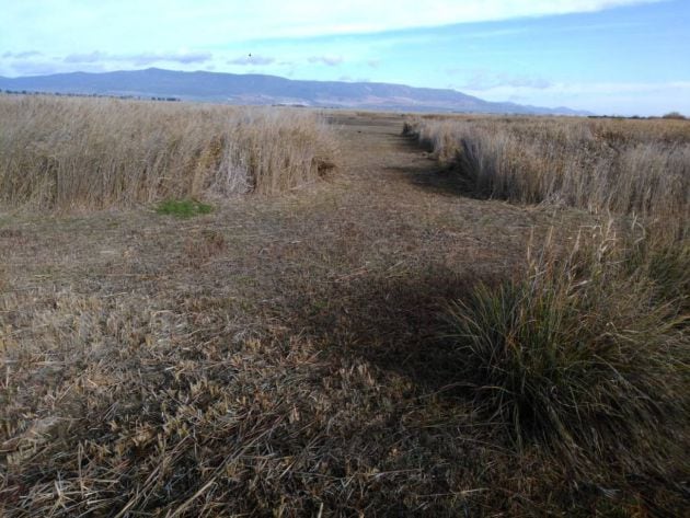 Imagen de una de las lagunas secas, en el entorno del Parque