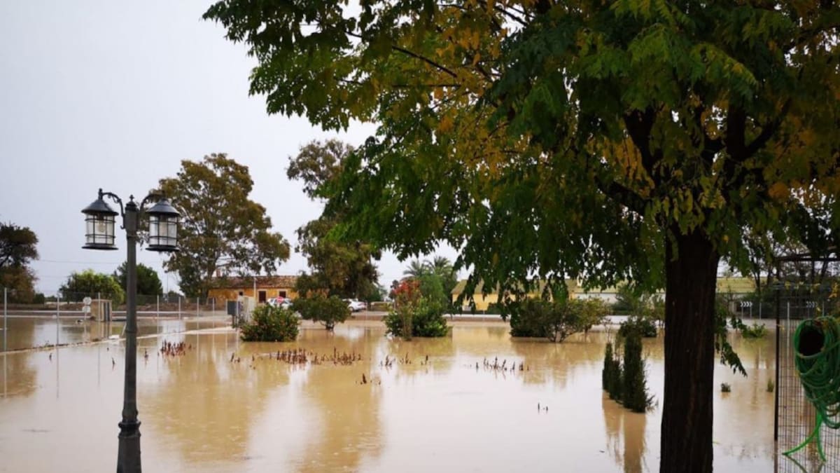 La lluvia deja caminos y huertas anegadas en el Campillo de Lorca