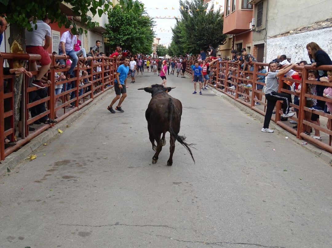 'Suelta de la vaquilla' en las Fiestas de la Juventud (IMAGEN ARCHIVO)