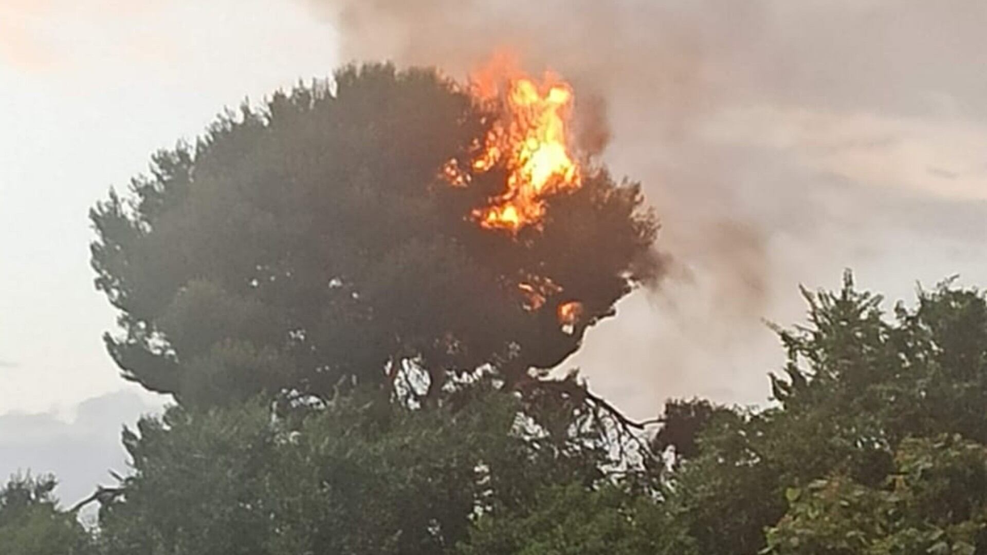 Incendio provocado por un rayo en Getafe