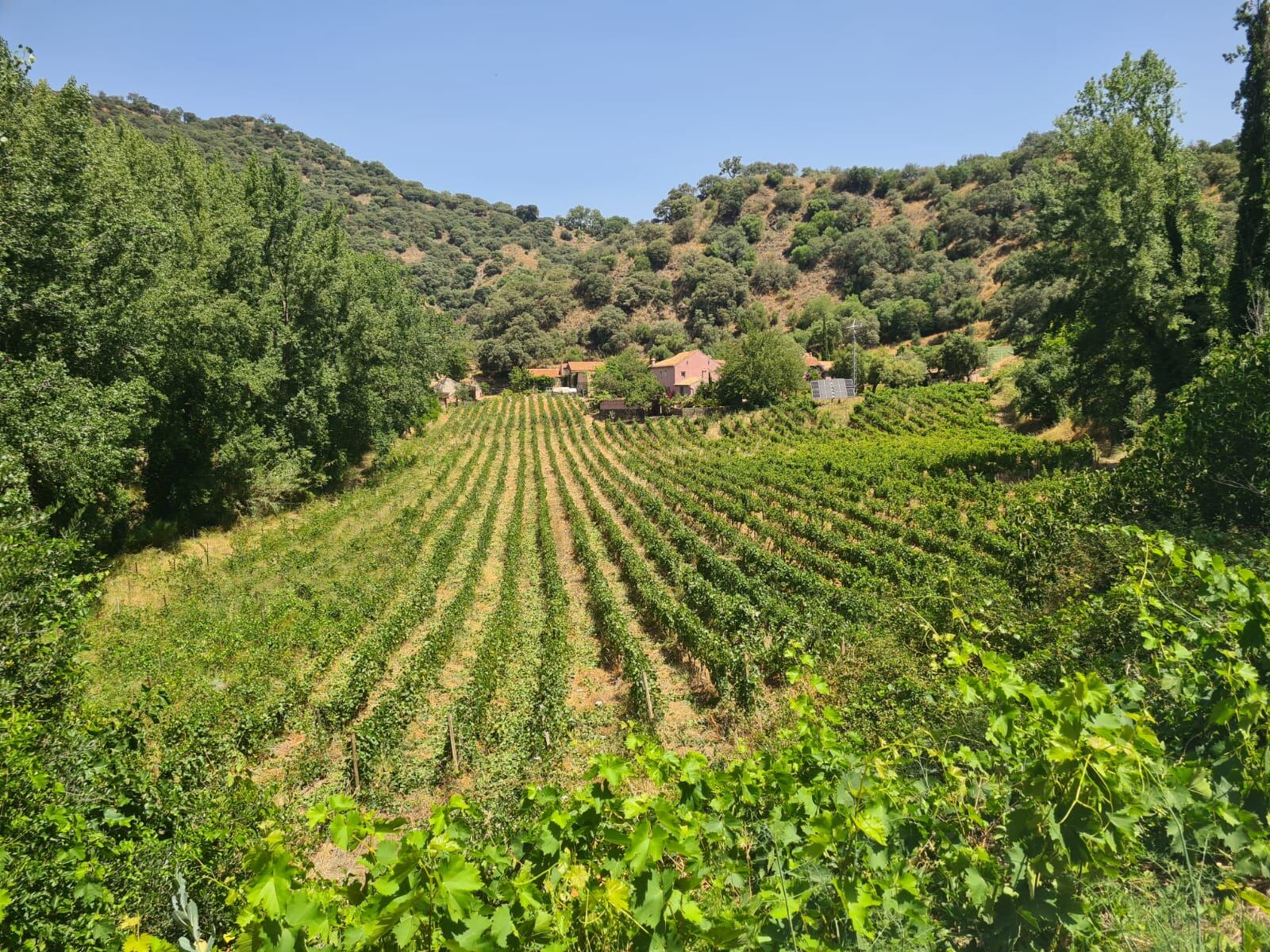 Bodega Antigua Real Fábrica de Hojalata de Ronda