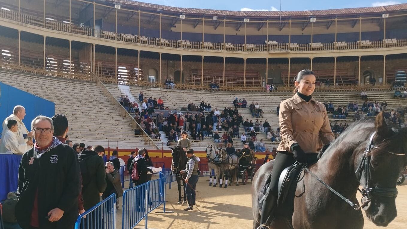 Bendición de Animales en la plaza de Toros de Alicante. Foto: Ayuntamiento de Alicante