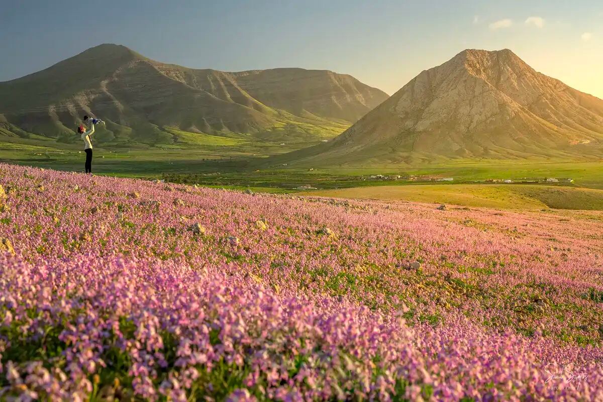 Tindaya, Fuerteventura. Foto: Saúl Santos Diaz