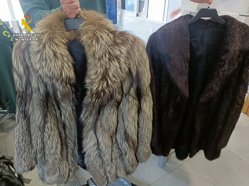 Abrigos intervenidos