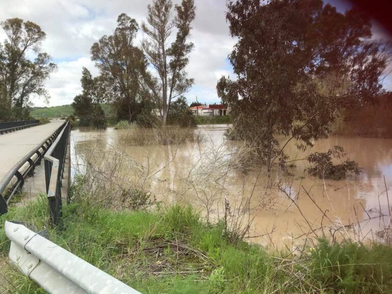 Imagen de la ribera del río Guadalete este lunes 